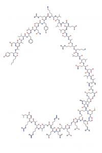 chatgpt image apr 25, 2026 at 08 40 25 am